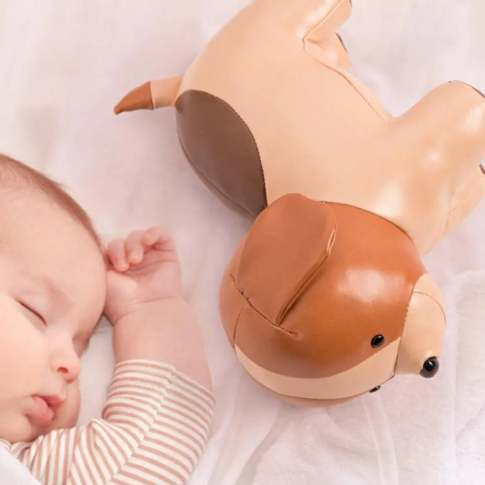 Adrien le Chien musical