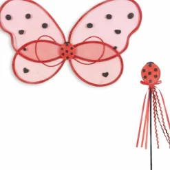 Ailes de fée Coccinelle