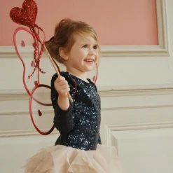 Ailes de fée Cœurs