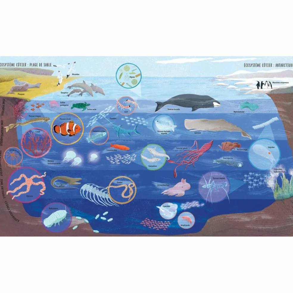 Album Raconte-nous l'océan