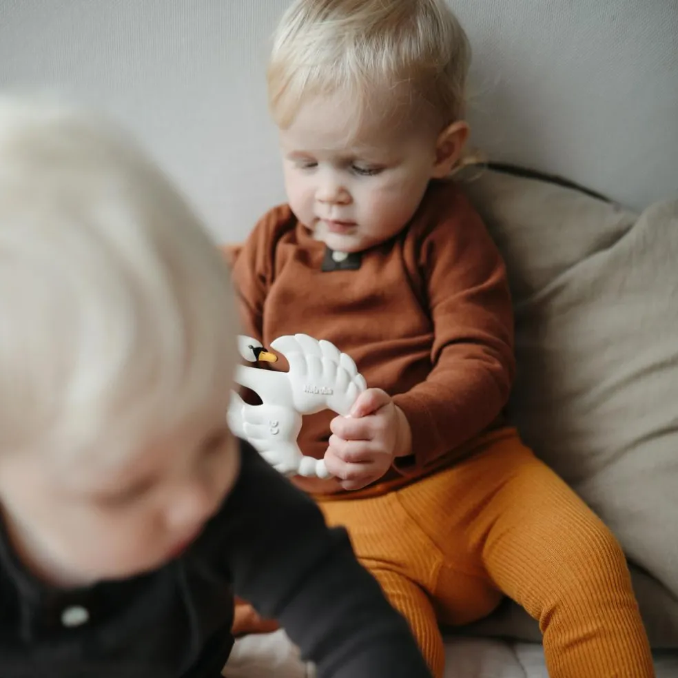 Anneau de dentition Cygne