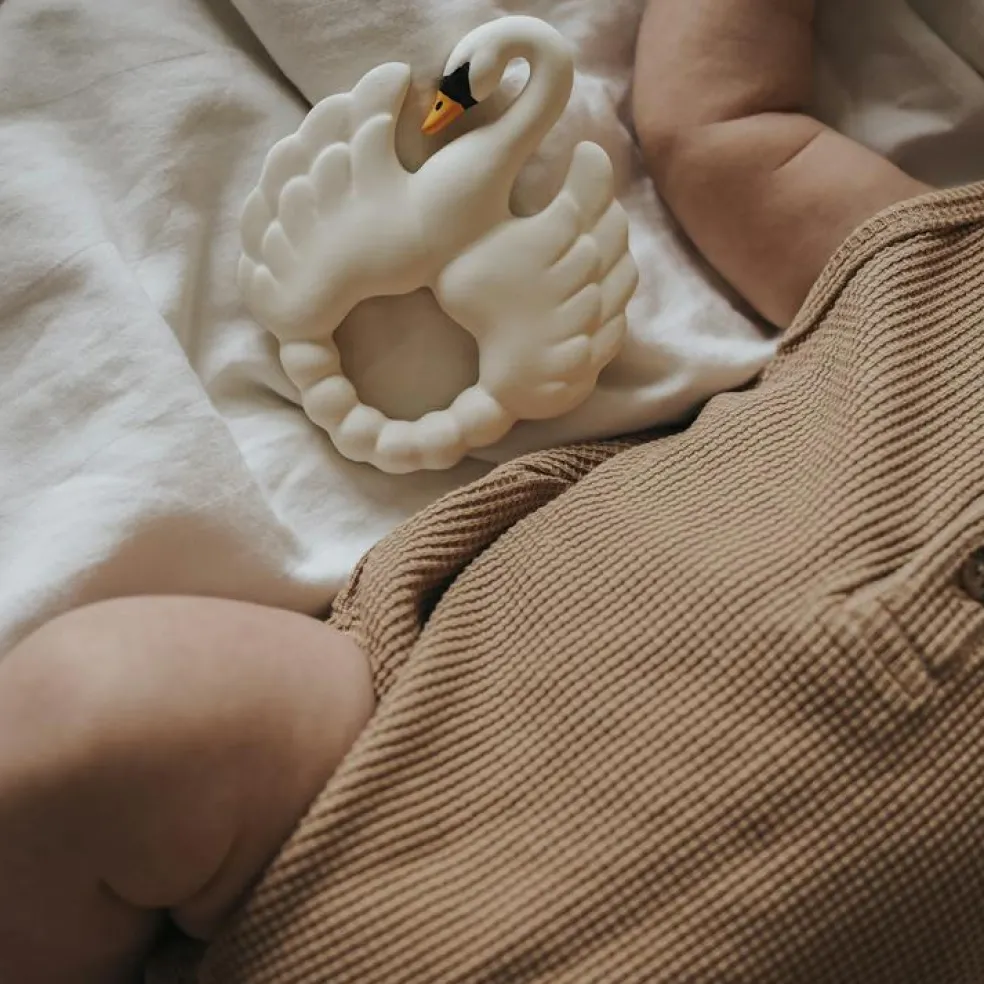 Anneau de dentition Cygne