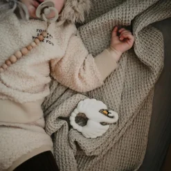 Anneau de dentition Cygne