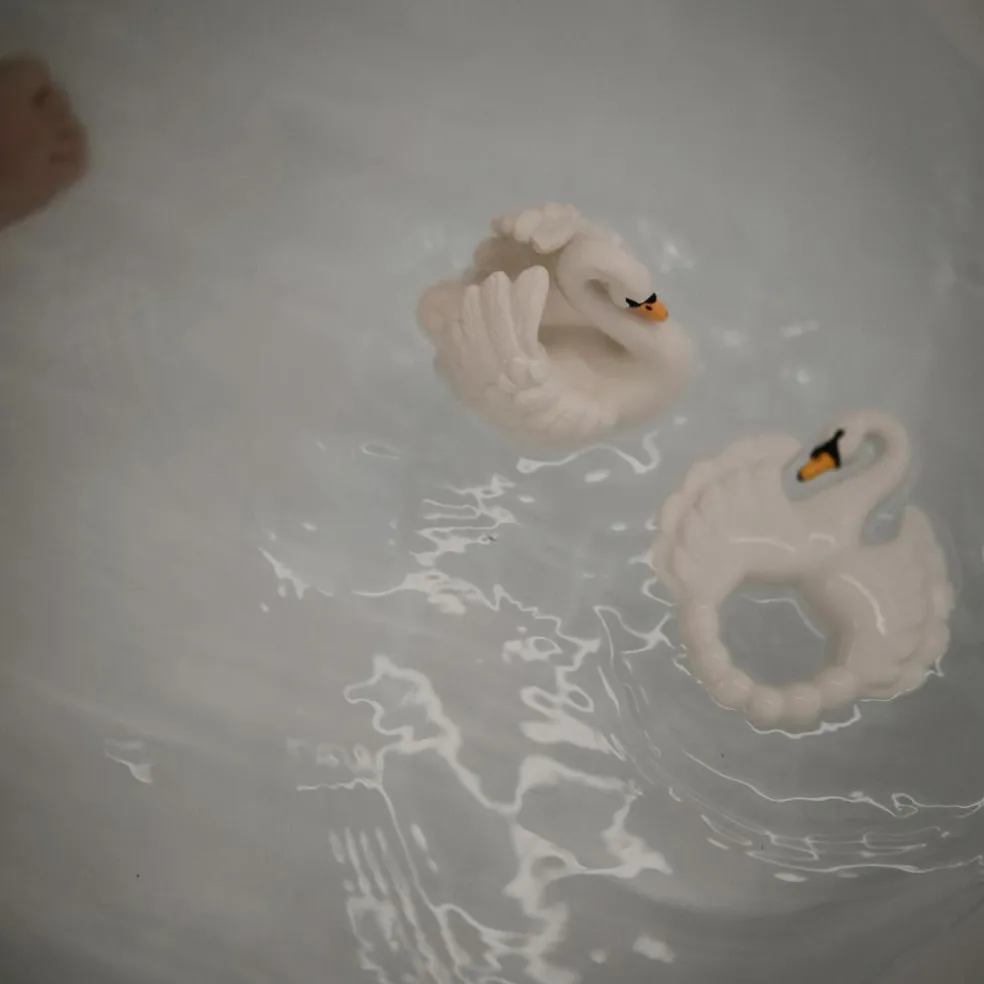 Anneau de dentition Cygne