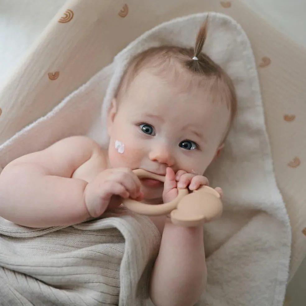 Anneau de dentition en silicone Dog