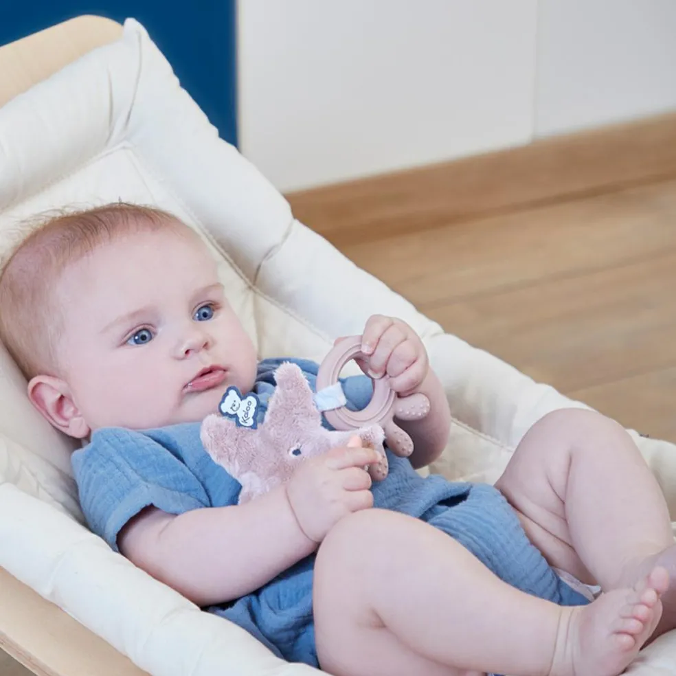 Anneau de dentition Etoile de mer