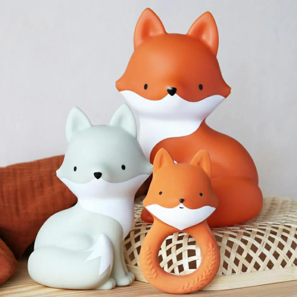 Anneau de dentition Renard