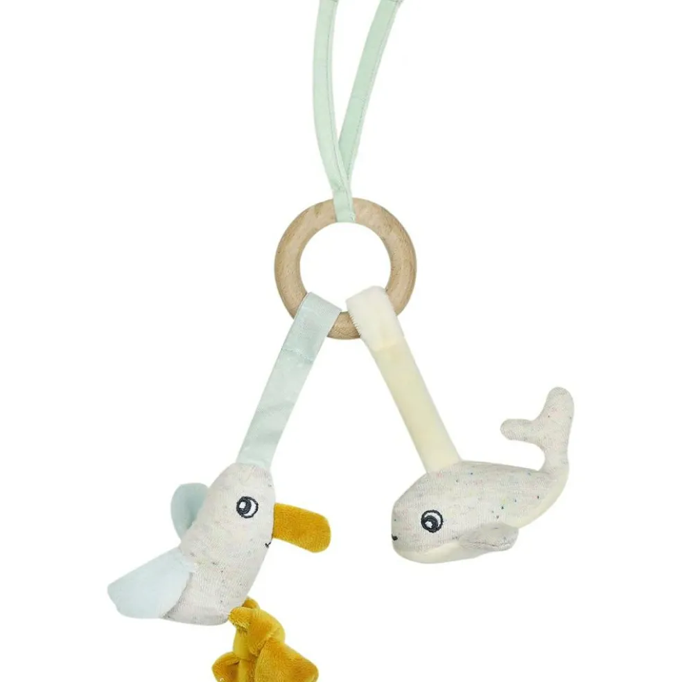 Anneau d'éveil à suspendre Au large de Nova