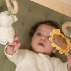 Arche en bois Little Farm