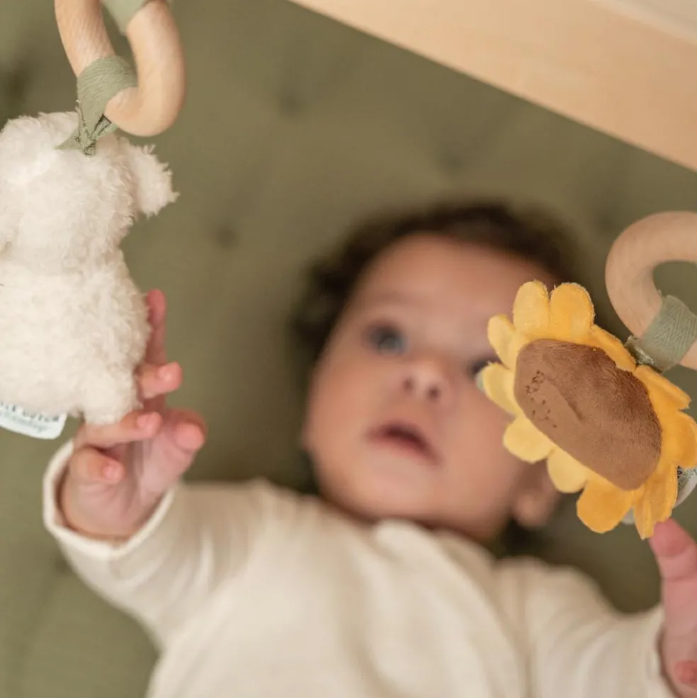 Arche en bois Little Farm