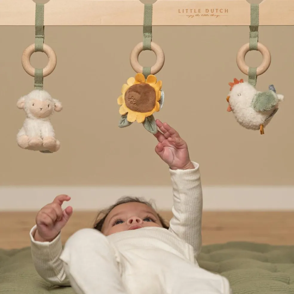 Arche en bois Little Farm