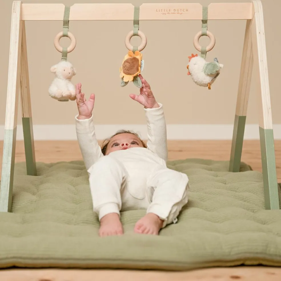 Arche en bois Little Farm