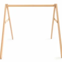 Arche Growing Green Forest