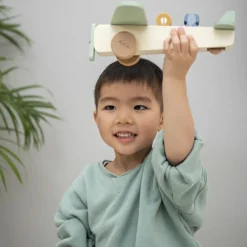 Avion des animaux en bois