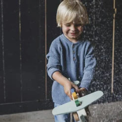 Avion des animaux en bois