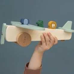 Avion des animaux en bois