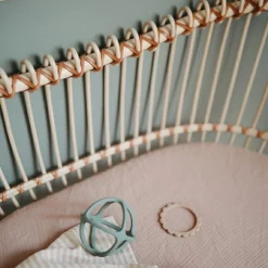 Balle de dentition en silicone Dried thyme