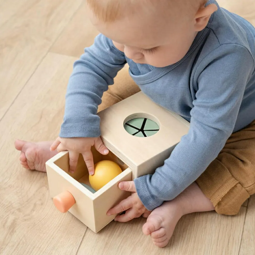 Boîte cache-cache Nozo