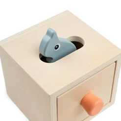 Boîte cache-cache Nozo