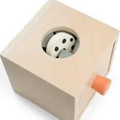 Boîte cache-cache Nozo