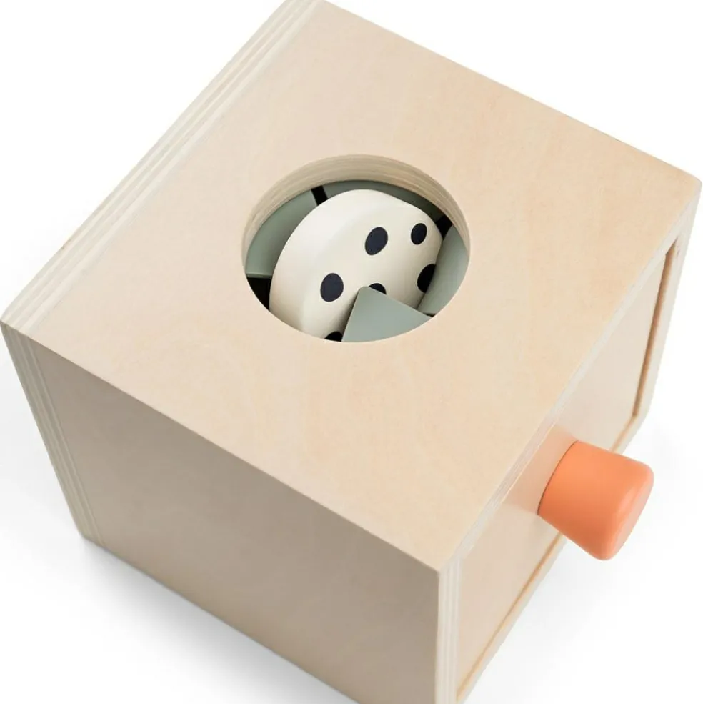 Boîte cache-cache Nozo