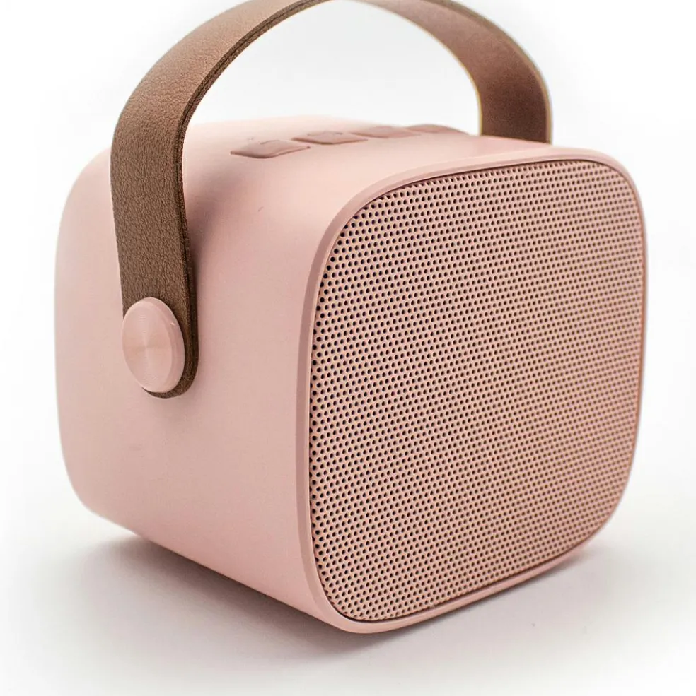 Boîte karaoké enceinte et micro Rose