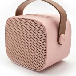 Boîte karaoké enceinte et micro Rose