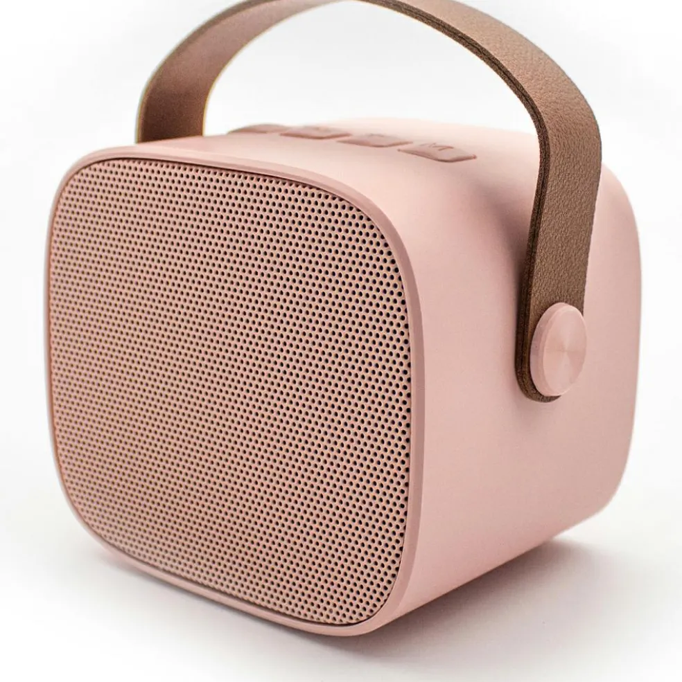 Boîte karaoké enceinte et micro Rose