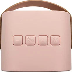 Boîte karaoké enceinte et micro Rose