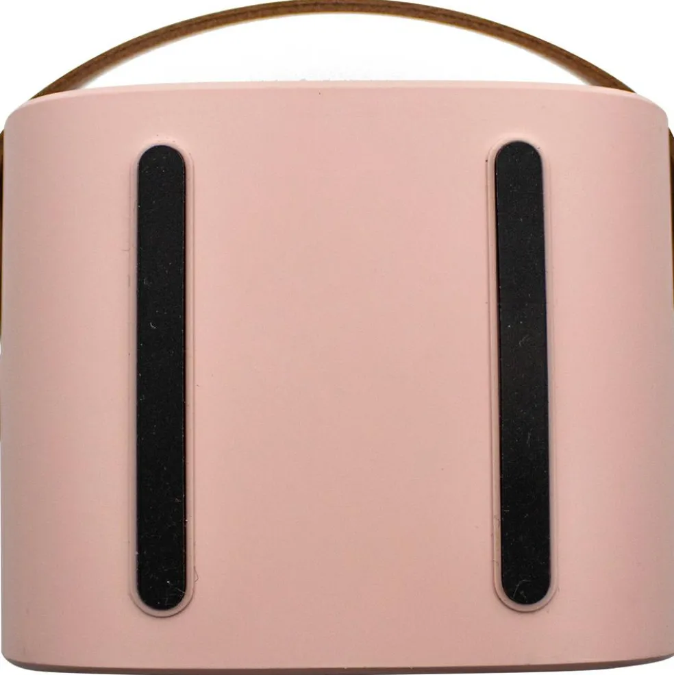 Boîte karaoké enceinte et micro Rose