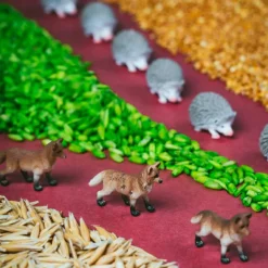 Bouteille sensorielle Spy Forest