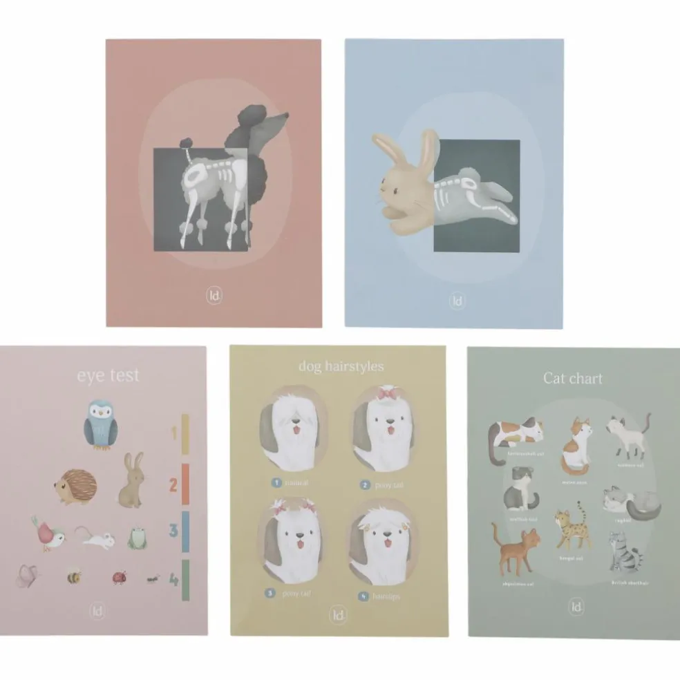 Cabinet de vétérinaire en bois FSC