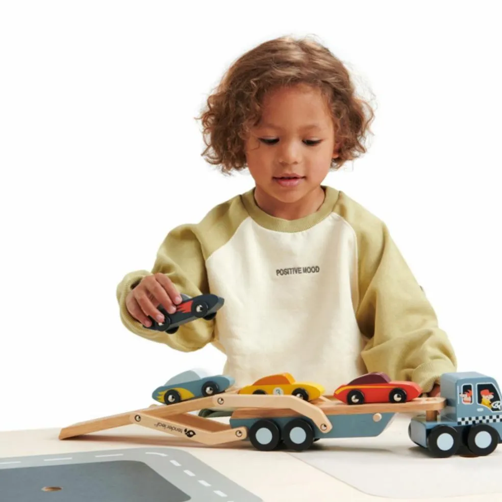 Camion transporteur de voitures