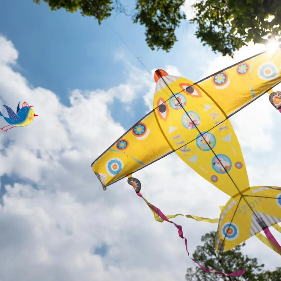 Cerf-volant avion Maxi Plane