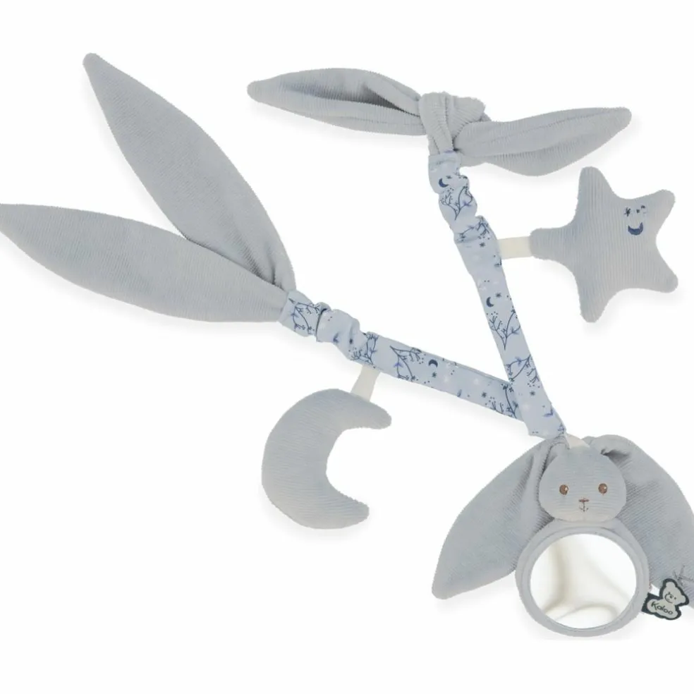 Chaîne d'activités Lapinoo Bleu