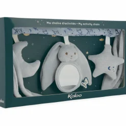 Chaîne d'activités Lapinoo Bleu