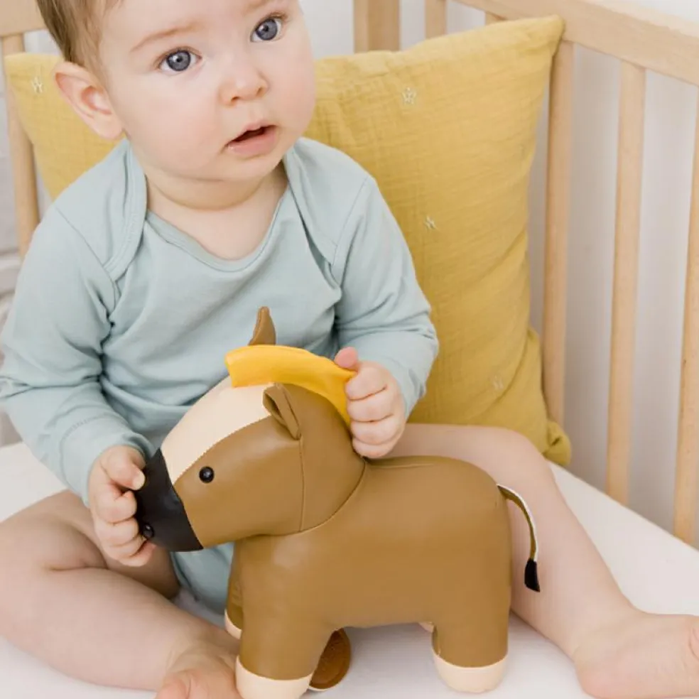 Charles le Cheval musical