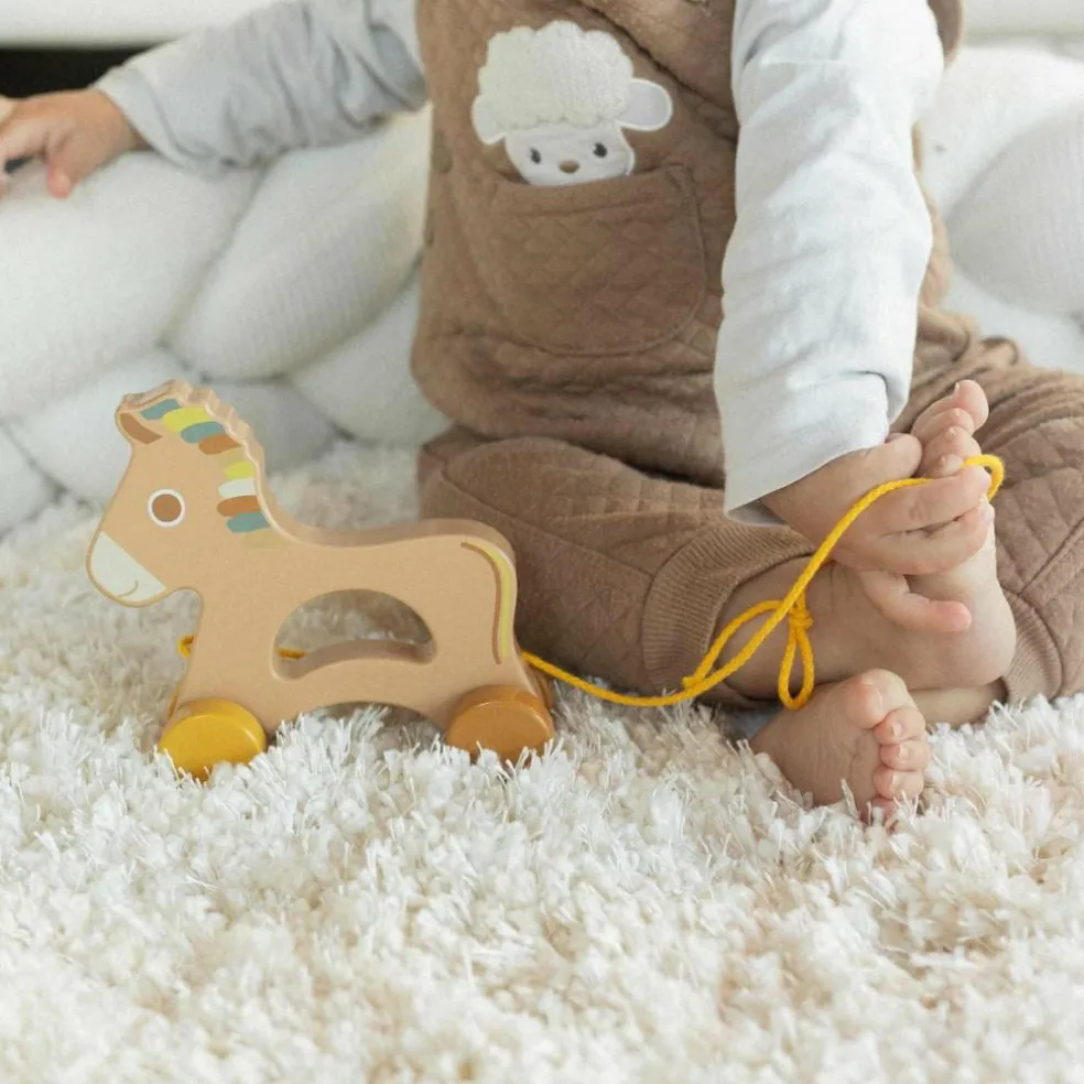 Cheval en bois à tirer