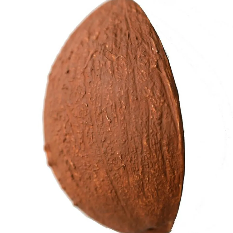 Coco la noix de coco en latex d'hévéa