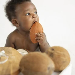 Coco la noix de coco en latex d'hévéa