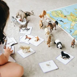 Coffret Giga Mondy (600 cartes Montessori pour développer le langage)