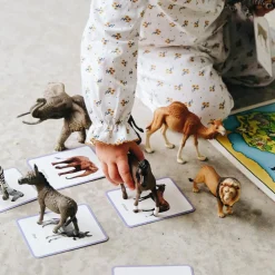 Coffret Mini Mondy (jeu de langage autour des animaux)