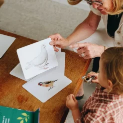 Coffret Mondy des Curieux (45 cartes de langage bilingues sur le thème de la nature)