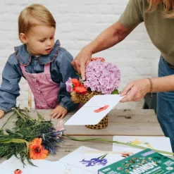Coffret Mondy des Curieux (45 cartes de langage bilingues sur le thème de la nature)