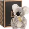 Coffret peluche Koala Les authentiques (25 cm)