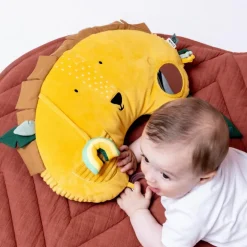 Coussin d'activités Mr. Lion