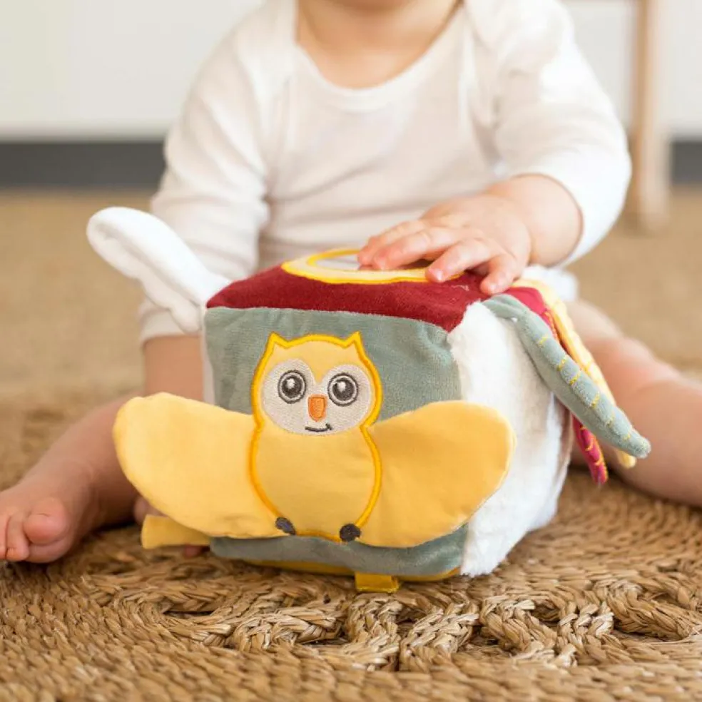 Cube d'activités Cache-cache en forêt