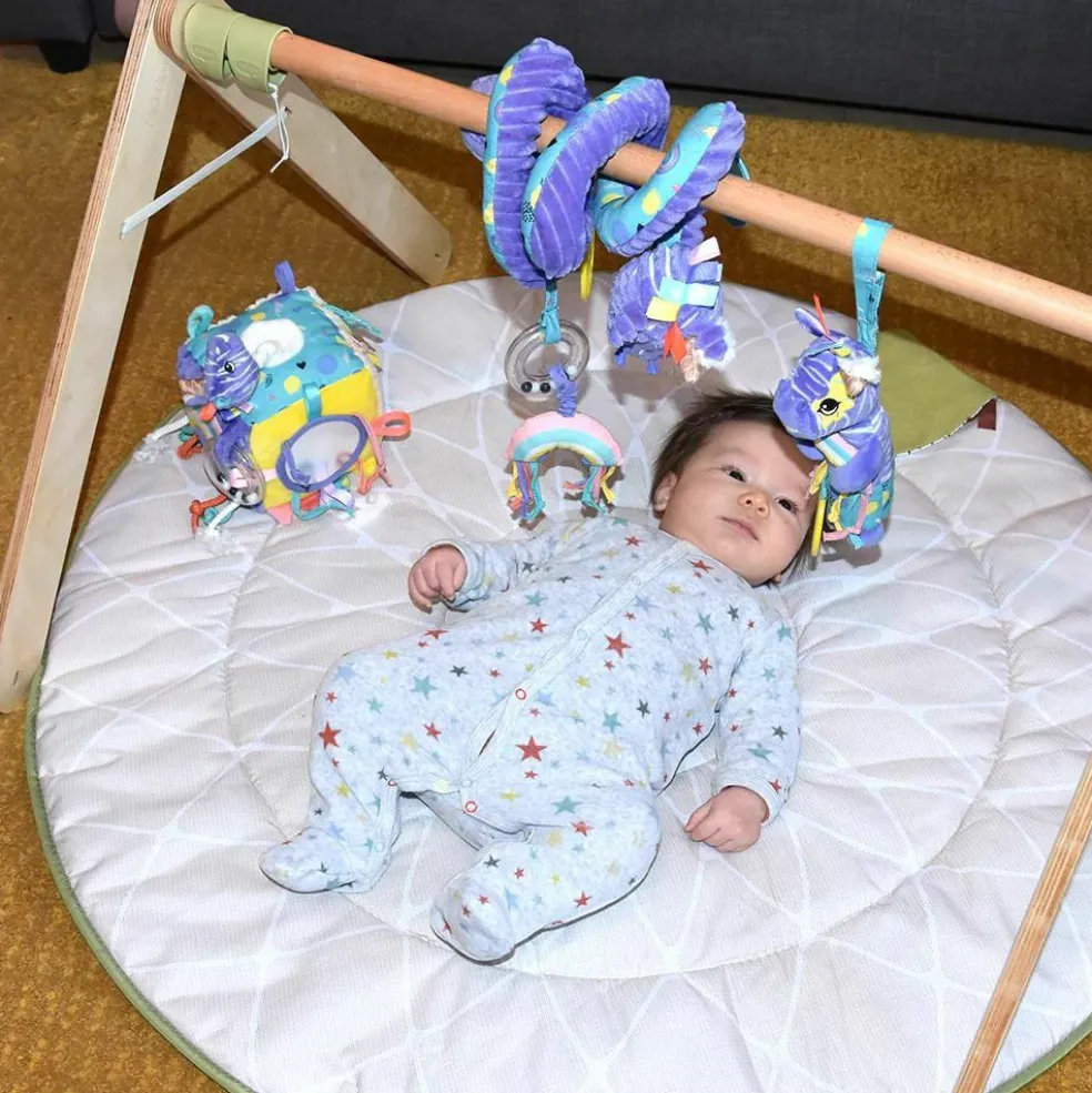 Cube d'activités Kiprokos le zèbre