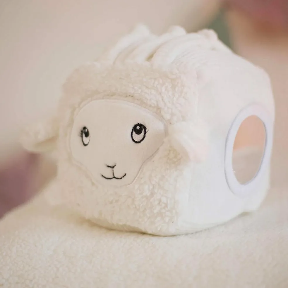 Cube d'activités mouton Wooly