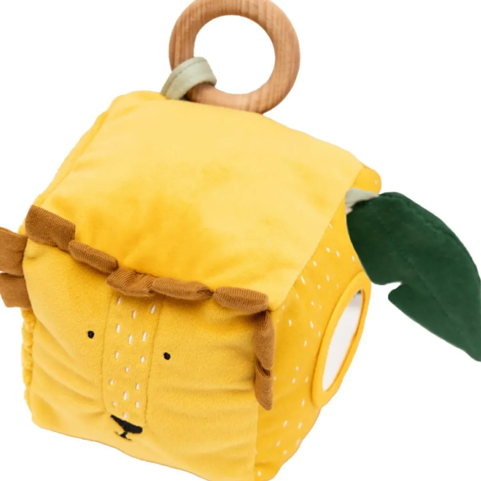 Cube d’activités Mr. Lion